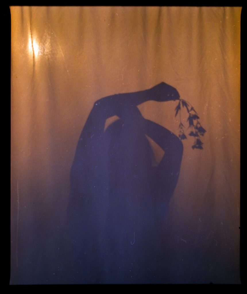 Silhouette of a person holding a flower